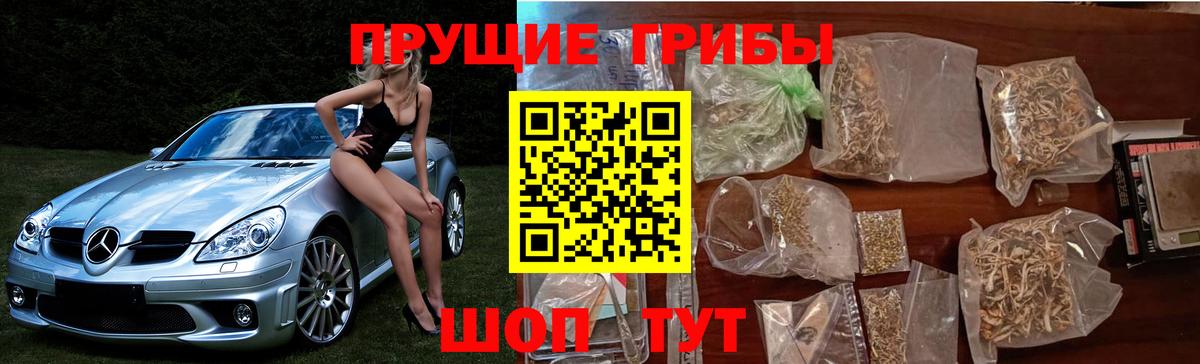 Псилоцибиновые грибы Psilocybine cubensis Хабаровск